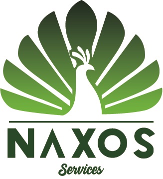 Présentation de Naxos Services